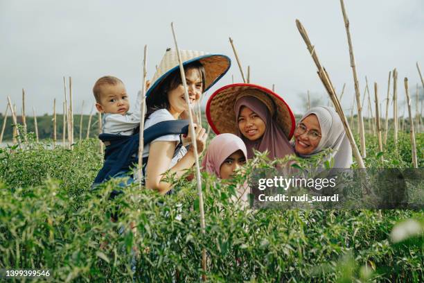 multi generation family in vegetable farm - indonesian farmer 個照片及圖片檔