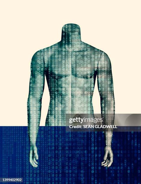 Torso Def Definition Of Torso Photos and Premium High Res Pictures - Getty Images