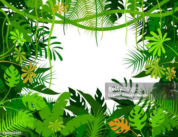 tropical rainforest background. jungle frame poster. - sky and trees green leaf illustration stock illustrations