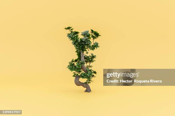 3d of monstera deliciosa on yellow background - farn freisteller stock-fotos und bilder