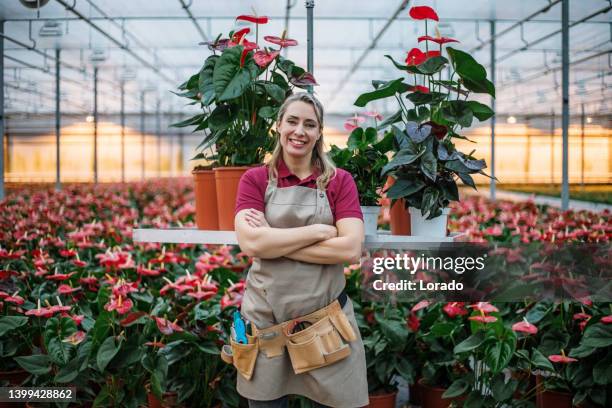 ouvrière agricole experte dans une serre d’usine de flamants roses en hollande - dutch culture stock photos et images de collection