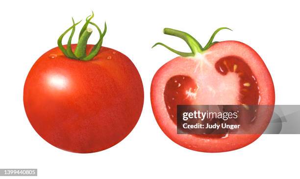 tomato pair a - heirloom tomato white background stock illustrations