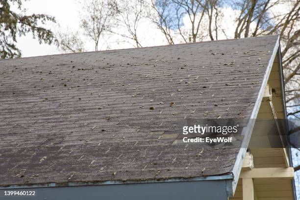 unkept roof with moss under tree cover - damaged shingles stock pictures, royalty-free photos & images