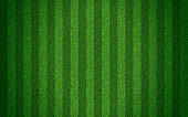 Green grass seamless texture on striped sport field