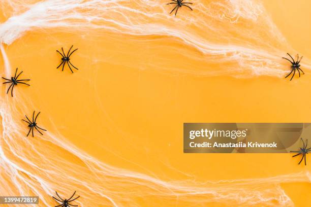 halloween background with web and spiders in flat lay style. - spider web stock pictures, royalty-free photos & images