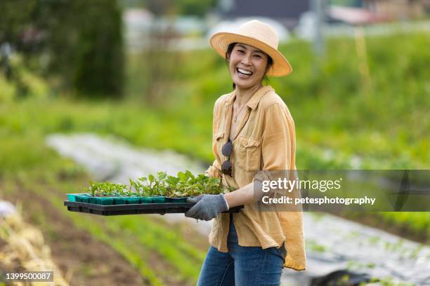 female japanese farm worker in a farm field. - tohoku stockfoto's en -beelden