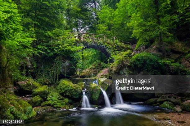 schöne landschaft schiessentümpel wasserfall in luxemburg - dieter bach stock-fotos und bilder