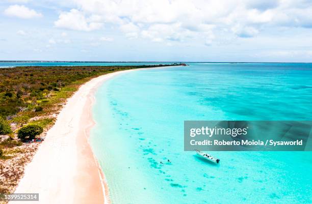 little boy with mother swimming nearby a pink sand beach - harbor island bahamas fotografías e imágenes de stock