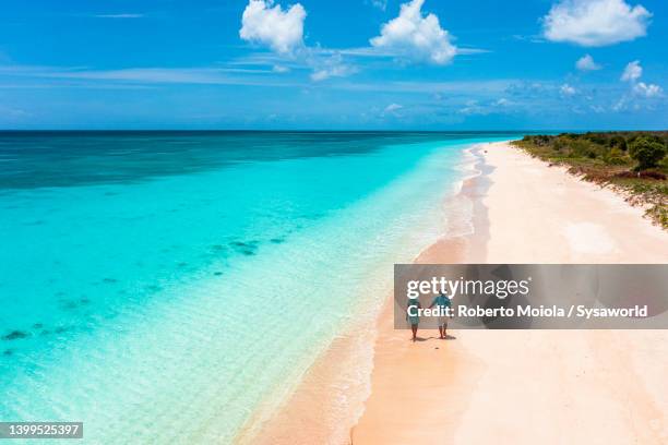 aerial view of man and woman in love walking on a beach - antilles ストックフォトと画像