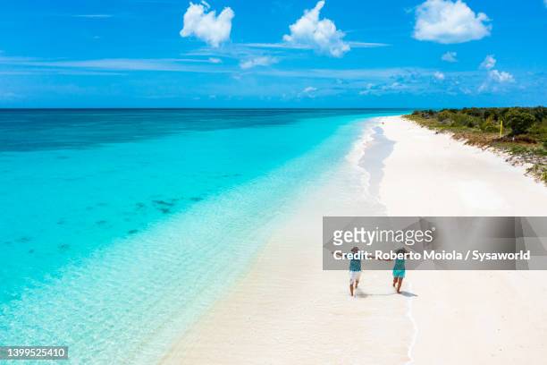 happy man and woman holding hands while running on a beach - caribbean sea stock pictures, royalty-free photos & images