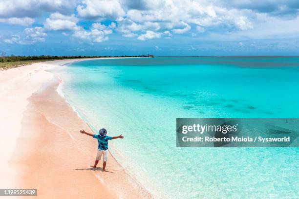 cheerful man with arms outstretched rejoices on idyllic beach, caribbean - blue shirt back stock pictures, royalty-free photos & images