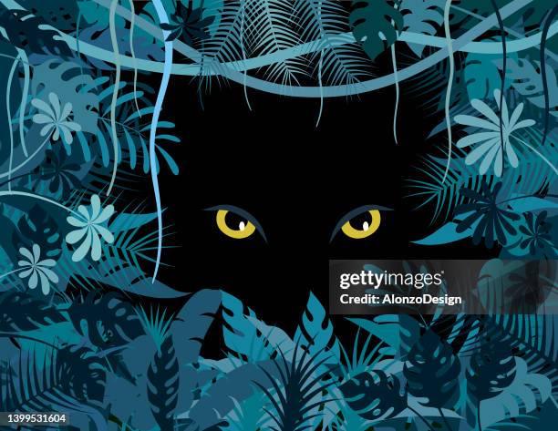 ilustraciones, imágenes clip art, dibujos animados e iconos de stock de selva tropical. póster de ojos de gato grande. - dark wood background