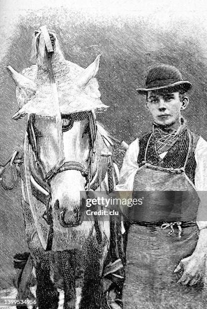 horse wearing a sun hat - sun hat stock illustrations