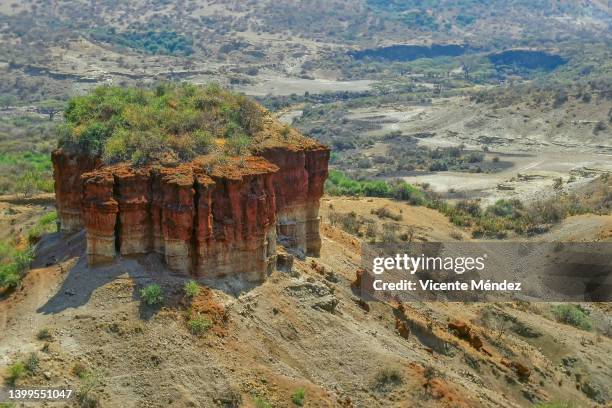 olduvai gorge known as the "cradle of mankind" - olduvai foto e immagini stock