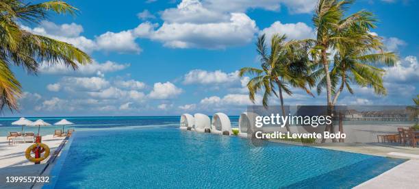 beautiful luxury umbrella and chair with outdoor swimming pool in tropical beach hotel resort. coconut palm trees at poolside. summer travel vacation background concept. amazing relax, freedom scenic - lido stock pictures, royalty-free photos & images