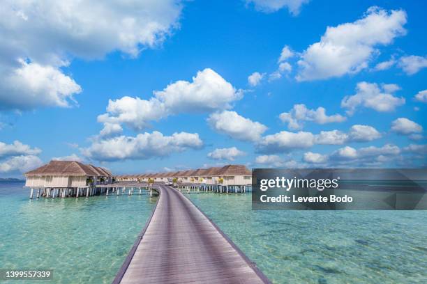 maldives island beach. tropical landscape of summer scenery, white sand with palm trees. luxury travel vacation destination. exotic beach landscape with swing or hammock. maldives holiday background - private island stock pictures, royalty-free photos & images