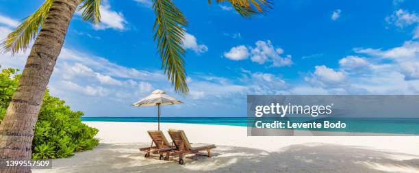 tropical beach nature as summer landscape with lounge chairs and palm trees and calm sea for beach banner. luxurious travel landscape, beautiful destination for vacation or holiday. beach scene - tropisches muster stock-fotos und bilder