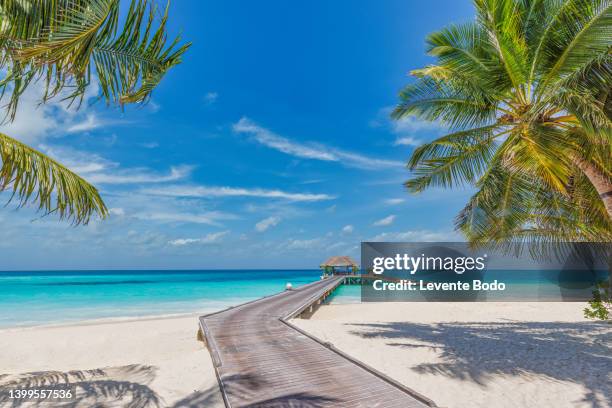 maldives island beach. tropical landscape of summer scenery, white sand with palm trees. luxury travel vacation destination. exotic beach landscape with swing or hammock. maldives holiday background - bungalow stock pictures, royalty-free photos & images