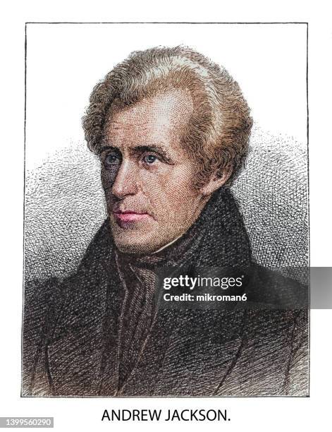 portrait of general andrew jackson, seventh president of the united states - president andrew jackson stock pictures, royalty-free photos & images