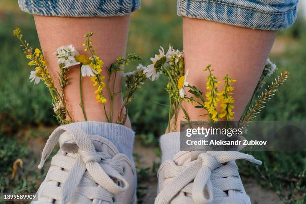 beautiful blooming wildflowers in sneakers. on the feet of a woman or a teenage girl, modern stylish sports sneakers and socks filled with healing green herbs and flowers, against the background of nature. the concept of freshness, cleanliness, depilation - insérer photos et images de collection