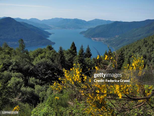 lake maggiore seen from the mounts of ronco (monti di ronco) - アスコナ ストックフォトと画像