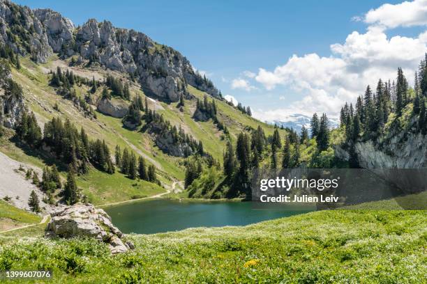 lac d'arvouin en haute savoie - haute savoie stock-fotos und bilder