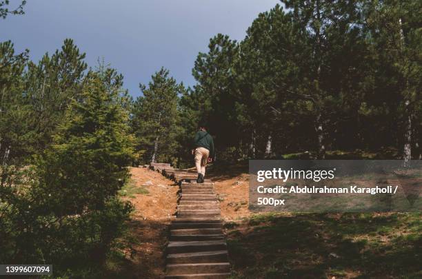 rear view of man walking on footpath amidst trees,ankara,turkey - daily life in ankara stock pictures, royalty-free photos & images