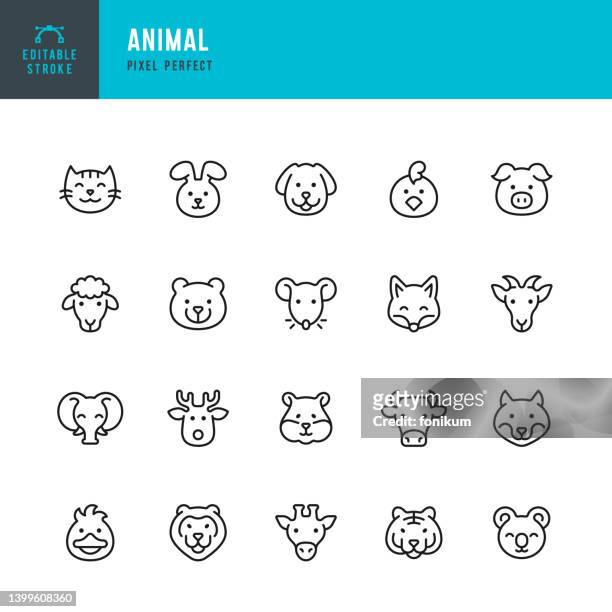 illustrazioni stock, clip art, cartoni animati e icone di tendenza di animale - set di icone vettoriali di linea. pixel perfetto. tratto modificabile. il set include un gatto, un cane, un topo, un topo, un criceto, un coniglio, un'anatra, un pollo, una pecora, una capra, un maiale, una mucca, una volpe, un lupo, un orso, un  - agnello animale