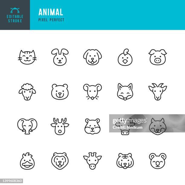 bildbanksillustrationer, clip art samt tecknat material och ikoner med animal - line vector icon set. pixel perfect. editable stroke. the set includes a cat, dog, mouse, rat, hamster, rabbit, duck, chicken, sheep, goat, pig, cow, fox, wolf, bear, koala, deer, giraffe, elephant, tiger, lion. - animal head