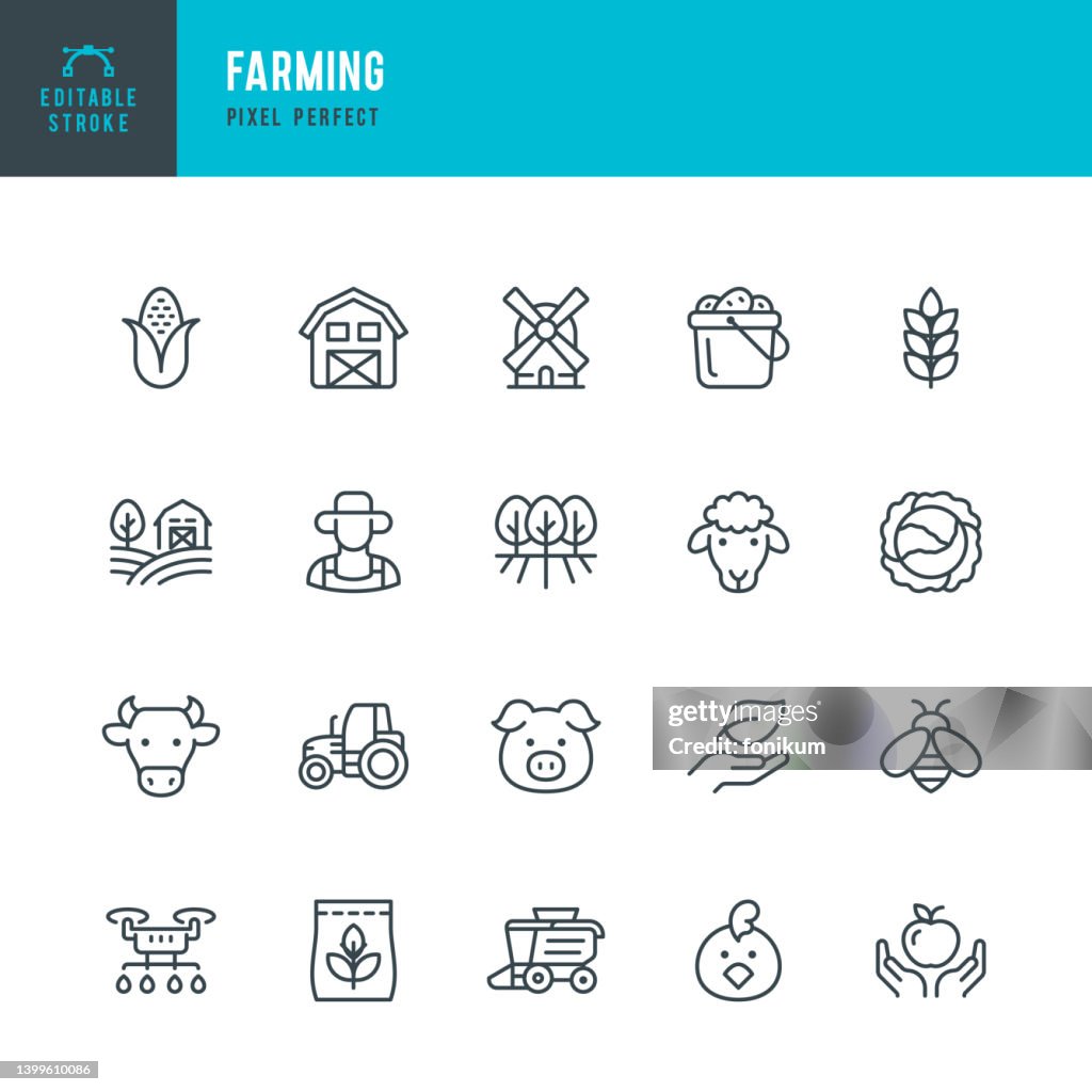 Landwirtschaft - Linienvektor-Symbolsatz. Pixel perfekt. Bearbeitbarer Strich. Das Set enthält einen Bauernhof, Landwirt, landwirtschaftliches Feld, Hausrinder, Kuh, Schwein, Lamm, Huhn, Biene, Windmühle, Weizen, Mais, Kohl, Garten, Drohne, Traktor, Mäh
