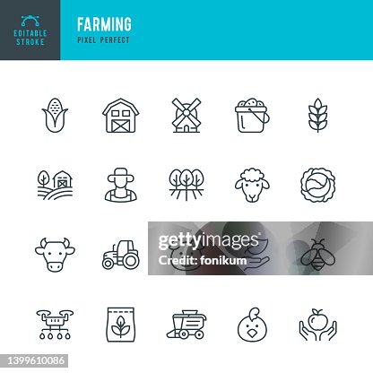 Farming - line vector icon set. Pixel perfect. Editable stroke. The set includes a Farm, Farmer, Agricultural Field, Domestic Cattle, Cow, Pig, Lamb, Chicken, Bee, Windmill, Wheat, Corn, Cabbage, Garden, Drone, Tractor, Combine Harvester, Harvesting Farming - line vector icon set. Pixel perfect. Editable stroke. The set includes a Farm, Farmer, Agricultural Field, Domestic Cattle, Cow, Pig, Lamb, Chicken, Bee, Windmill, Wheat, Corn, Cabbage, Garden, Drone, Tractor, Combine Harvester, Harvesting