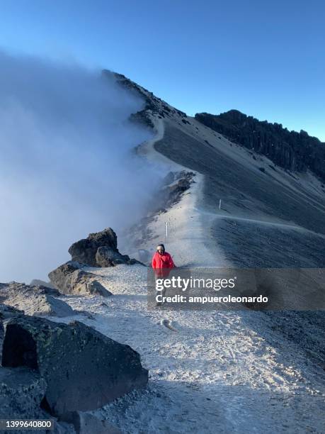 young handsome latin male backpacker hiking and enjoying his vacation time walking and hiking on the sierra's highlands, in front of pichincha, cayambe, cotopaxi's volcanoes with a blue sky in a midday near to quito, ecuador. - cuenca ecuador bildbanksfoton och bilder