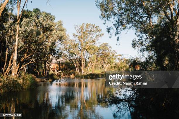 psyche bend pumping station hidden begin gum trees in kings billabong, mildura, australia - billabong water stock pictures, royalty-free photos & images