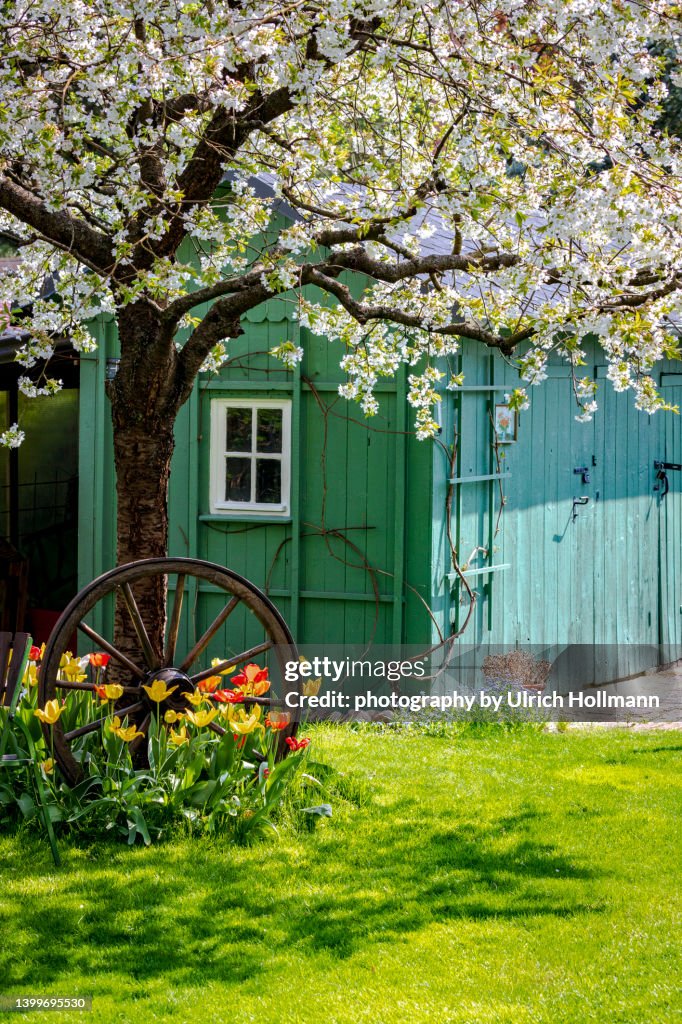 Cozy cottage in a country garden, Germany