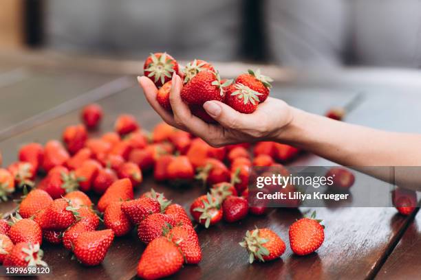 ripe strawberry in female hand. - berries and hand stock pictures, royalty-free photos & images