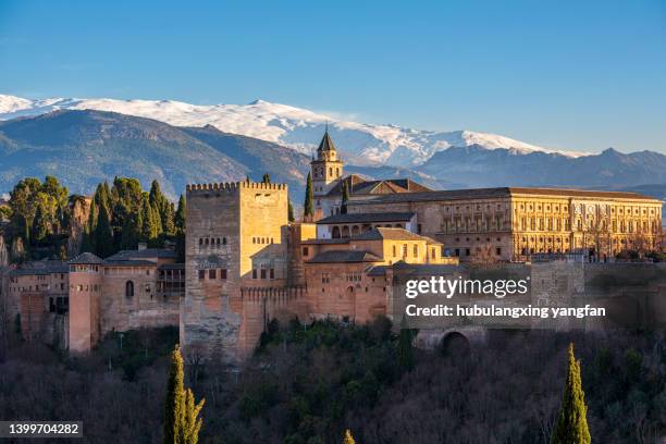 view to the alhambra palace, granada, spain - alhambra stock-fotos und bilder
