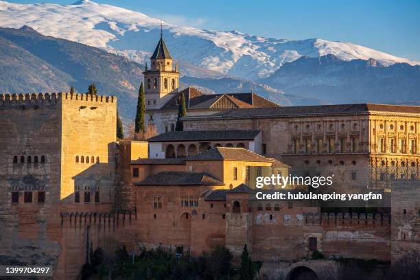69 Seat Alhambra Bilder und Fotos - Getty Images