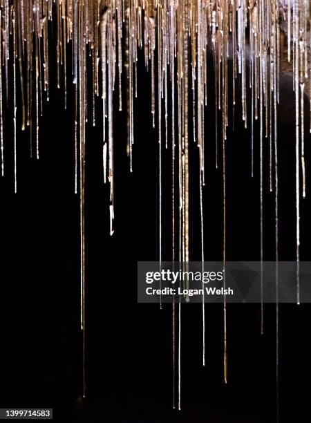 naracoorte caves - stalactite stock pictures, royalty-free photos & images