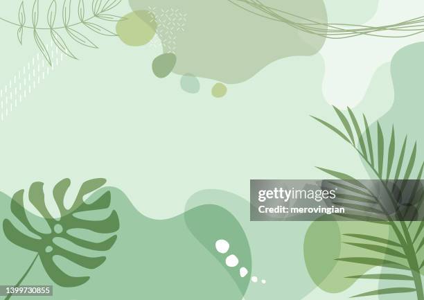 illustrazioni stock, clip art, cartoni animati e icone di tendenza di astratto semplicemente sfondo con arti di linea naturali - monstera