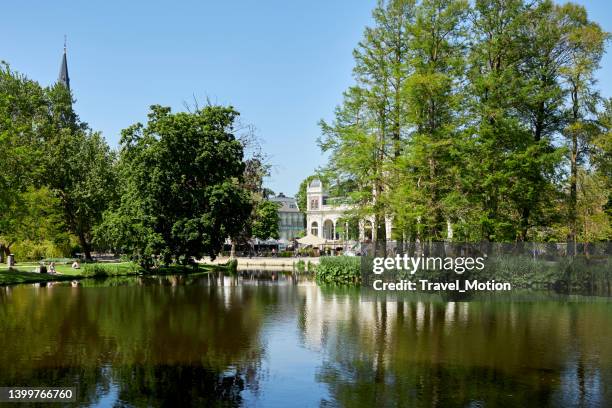 public green city park vondelpark on a summer day, amsterdam - vondelpark stockfoto's en -beelden