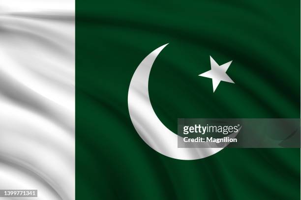flag of pakistan - pakistani flag stock illustrations