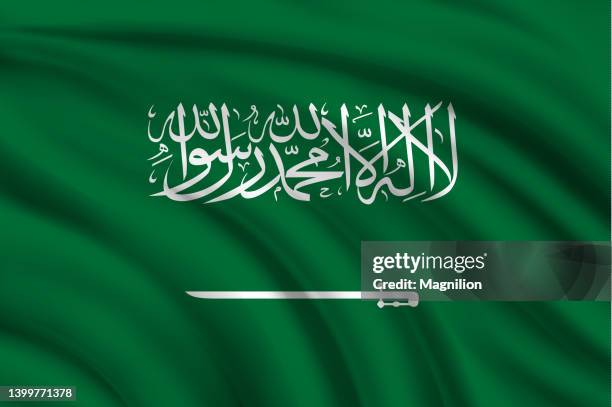 stockillustraties, clipart, cartoons en iconen met flag of saudi arabia - saudi arabian flag