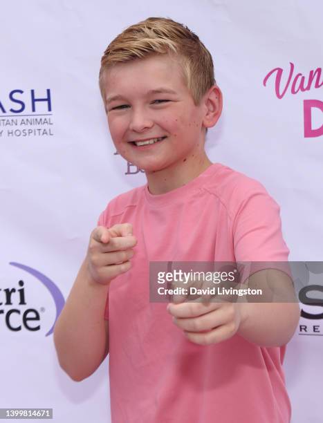 Kaido Roberts attends the Vanderpump Dog Foundation's 6th Annual... News  Photo - Getty Images
