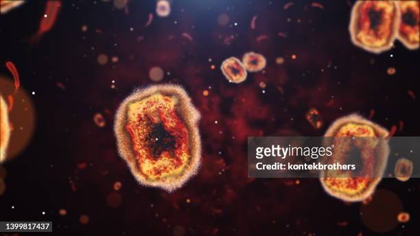 virus de la viruela del mono - microscope fotografías e imágenes de stock