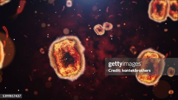 モンキーポックスウイルス - parasitic ストックフォトと画像