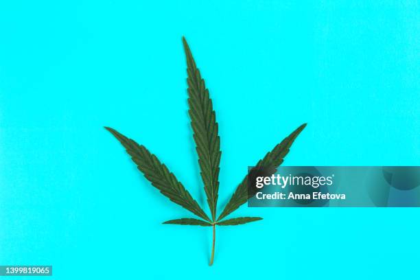 Hash Texture Photos and Premium High Res Pictures - Getty Images