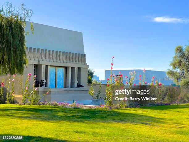 hollyhock flowers and hollyhock house, los angeles - hollyhock house stock pictures, royalty-free photos & images