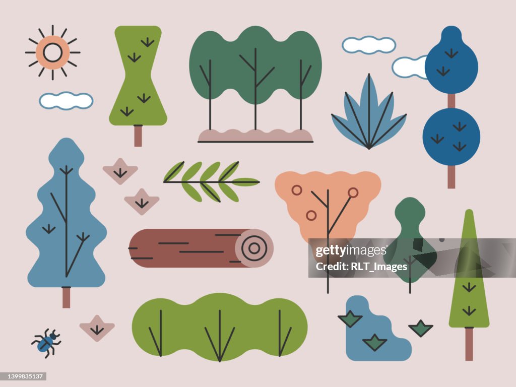 Woodland Trees & Plants — Brightline Series