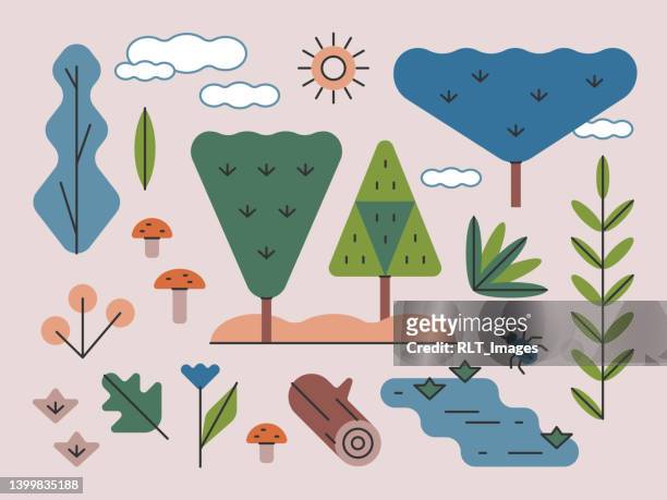 illustrazioni stock, clip art, cartoni animati e icone di tendenza di woodland trees & plants — serie brightline - sky and trees green leaf illustration