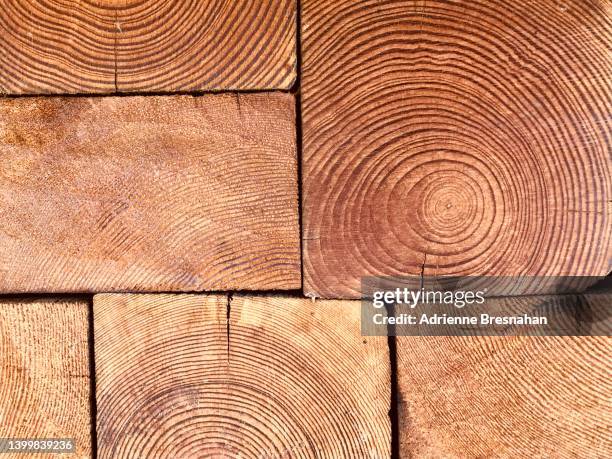 surface of wood blocks - log texture stock-fotos und bilder
